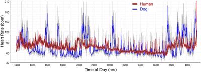 Beat-to-Beat Patterning of Sinus Rhythm Reveals Non-linear Rhythm in the Dog Compared to the Human